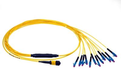 Afbeelding van breakoutkabel MTP24 > 24xLC MultiMode  2m Neutrik