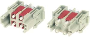 Bild von Han module SC 4v female 1mod.