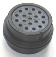 Picture of body 419E female black