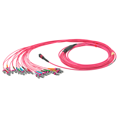 Neutrik MTP breakout cable Neutrik MTP breakout cable